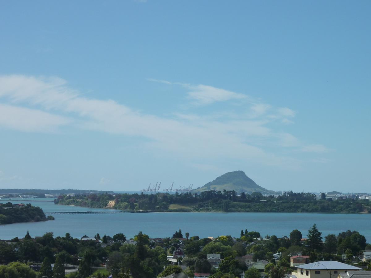 Up In The Stars B&B Tauranga Exterior photo